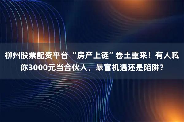 柳州股票配资平台 “房产上链”卷土重来！有人喊你3000元当合伙人，暴富机遇还是陷阱？